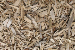 biomass boilers Fonmon
