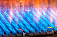 Fonmon gas fired boilers